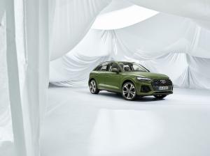 Audi Q5 40 TDI Quattro S-Line 2020 года  (WW)